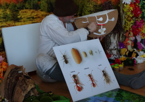 21 Pan Olek opowiada dzieciom o mrówczym żłobku i przedszkolu.